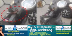 പത്തനംതിട്ടയിൽ സ്കൂട്ടർ ഓടിക്കുന്നതിനിടെ യുവതിക്ക് പാമ്പ് കടിയേറ്റു